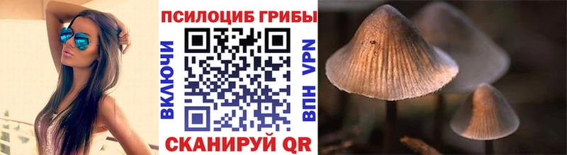 Псилоцибиновые грибы Magic Shrooms  сколько стоит  Луга 