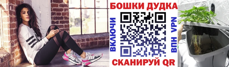 Бошки Шишки тримм  где найти наркотики  Луга 